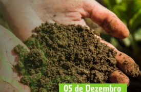 05 de Dezembro – Dia Mundial do Solo