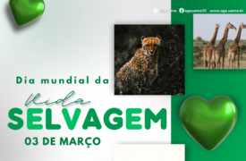 03 de março – Dia Mundial da Vida Selvagem