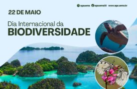 Dia Internacional da Biodiversidade – 22 de maio