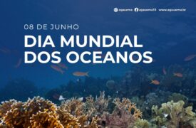 DIA MUNDIAL DOS OCEANOS – 8 DE JUNHO