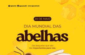 20 de maio – Dia Mundial das Abelhas